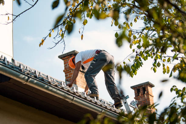 Residential Roof Replacement in Alamo, TX