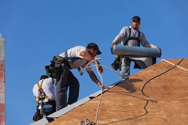 Roof Repair Estimates in Alamo, TX